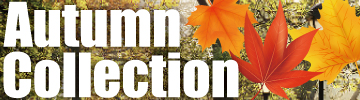autumn collection